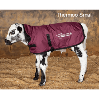 Trusti Thermoo Small Burgundy