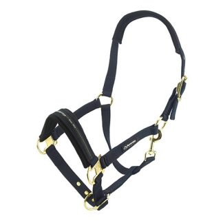 Horse Halter - Full - Blue