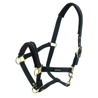 Horse Halter - Full - Green