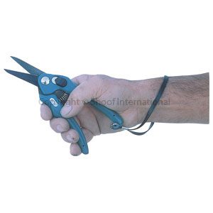 Footrot Shears B&B Plain 19cm