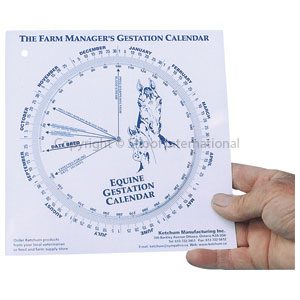 Gestation Calendar Mare