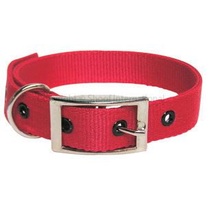 Goat Collar Nylon Doe Red