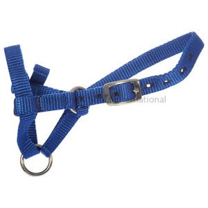 Halter Webbing Alpaca Medium Blue