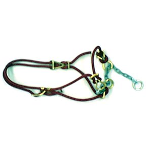 Halter Hackamore Calf Blue