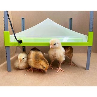 Cover For Chick Heating Plate - Small