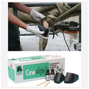 Cowslips Original Left only 10-pack