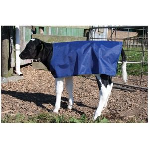 Calf Cover Stay-on Polyester 72cm