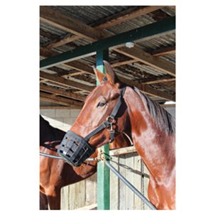 Horse Muzzle Kerbl Cob