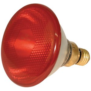 Lamp Infrared Kerbl Red 100w