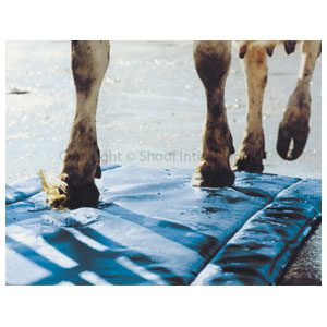 Hoofmat Dairy