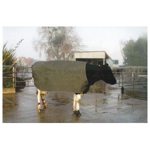 Cow Cover Cozy Thermal Stress Lge-Friesn