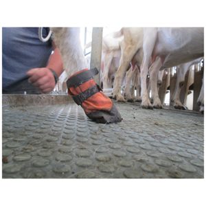 Goat Boot Rugged Lge (82mm) each