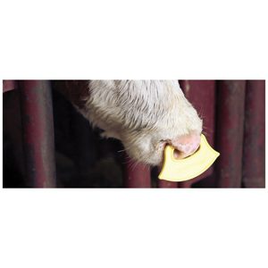 Calf Weaner Quiet Wean 25-pack