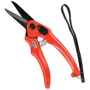 Footrot Shears B&B Serrated 19cm