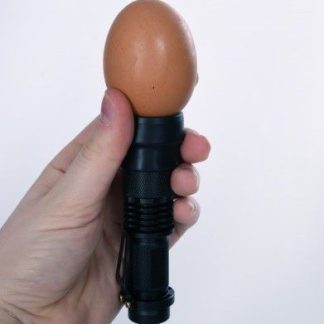 Poultry Egg Candling Lamp each
