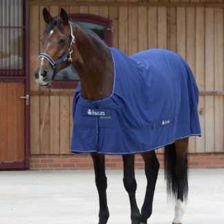 Bucas Cooler Shamrock Navy 145cm/6'6