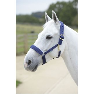 Bucas Comfort Halter X/L Navy/Navy