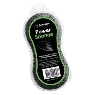 Power Sponge