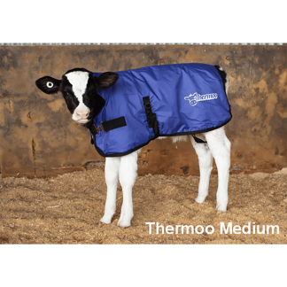 Trusti Thermoo Medium Blue