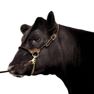 Leather Show Halter with Lead Medium (Tan)