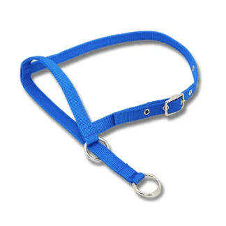 Halter Leading Calf - Blue