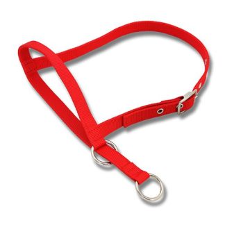 Halter Leading Calf - Red