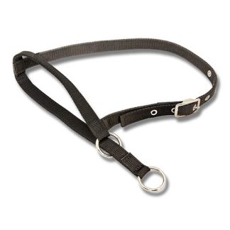 Halter Leading Cow - Black
