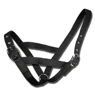 Cattle Halter Webbing Calf - Blue
