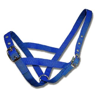 Cattle Halter Webbing Cow - Blue