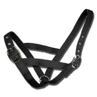 Cattle Halter Webbing Cow - Black