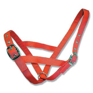 Cattle Halter Webbing Cow - Red