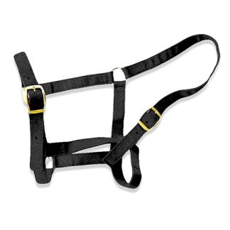 Horse Halter - Cob Black