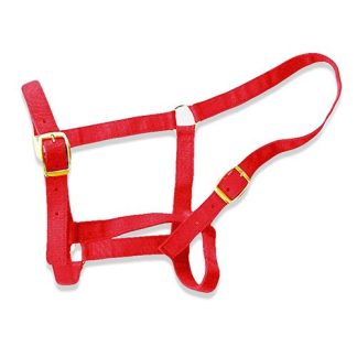 Horse Halter - Cob Red