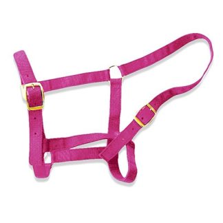Horse Halter - Pony Pink