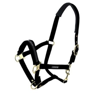 Horse Halter - Pony - Black