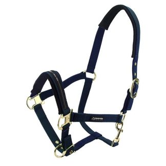 Horse Halter - Pony - Blue