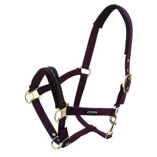 Horse Halter - Pony - Purple