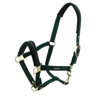 Horse Halter - Cob - Green
