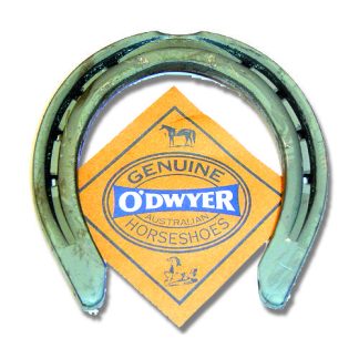 Horse Shoes Standard Hack - Size 5 (Set of 4)