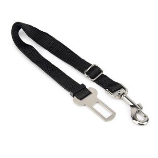 Car Safety Lead - Med-Large