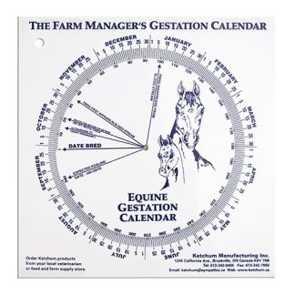 Gestation Calendar - Equine