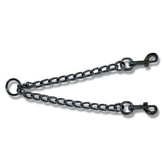 Couples Lead Attachment