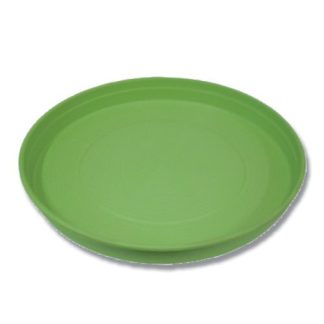 Feeding Tray