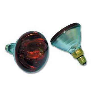 Infrared Light Bulb 175w (Phillips)