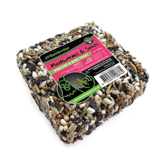 Treat Block - Mealworms & Seeds