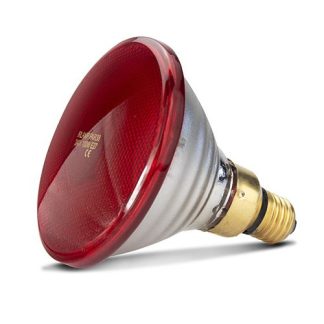 Infared Heat Lamp Bulb - Red - 100W