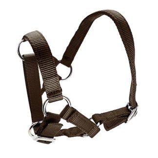 Halter for Alpacas - Brown