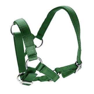 Halter for Alpacas - Green