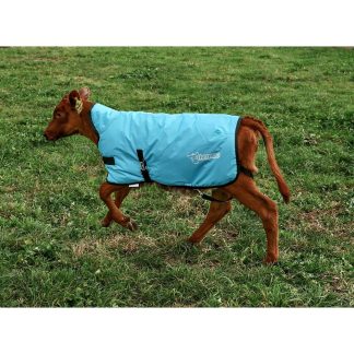 Trusti Thermoo Large Light Blue