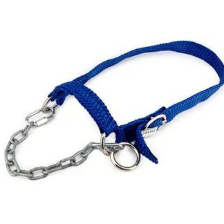 Halter Dexter Small (5 colours - call cust serv to confirm availability)